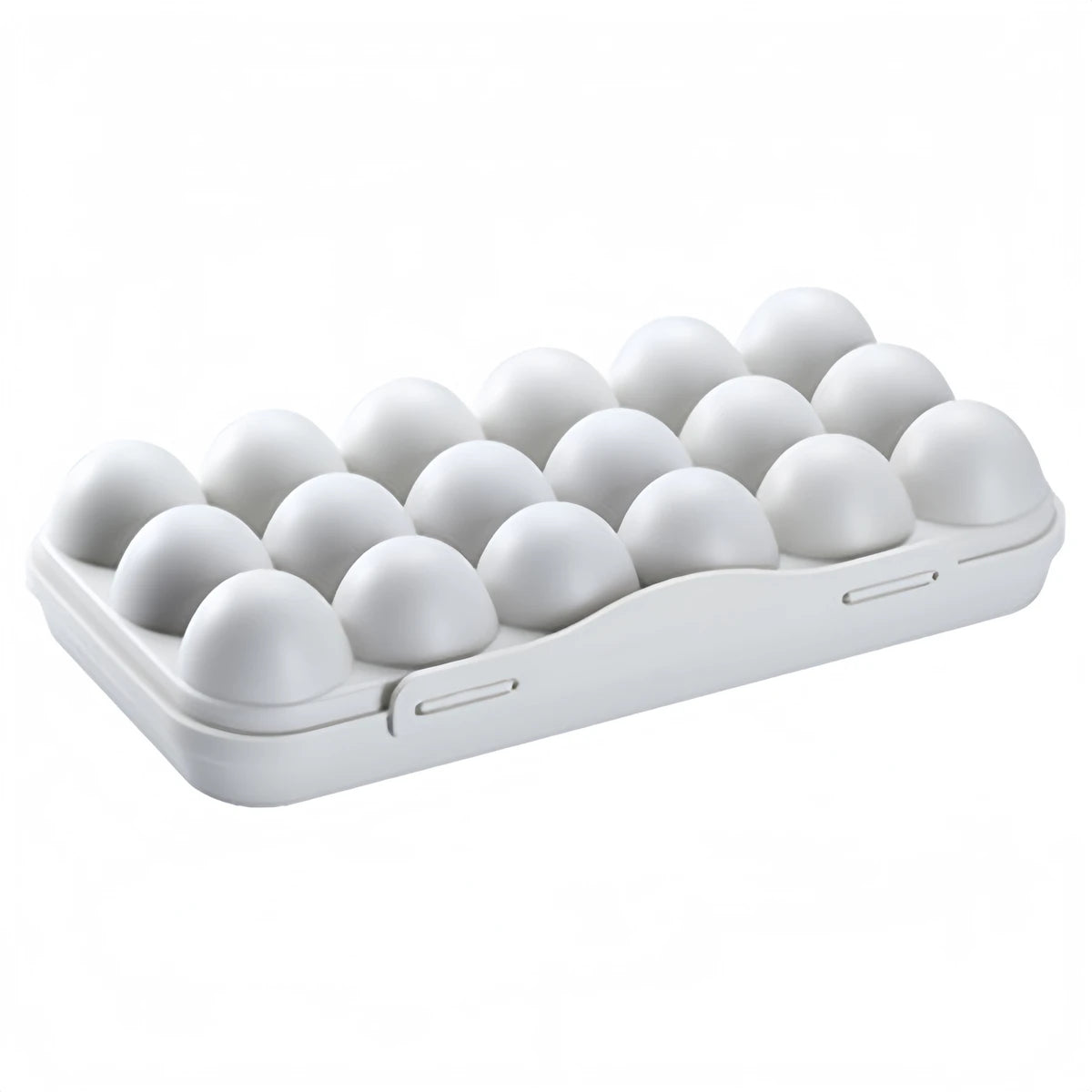 Smart Egg Storage Case