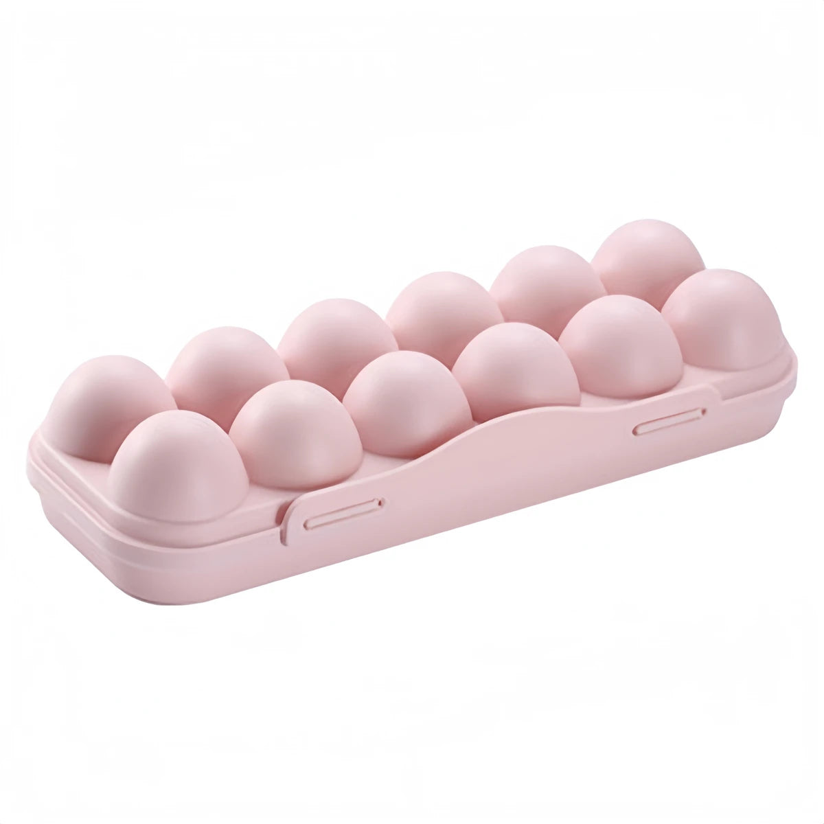 Smart Egg Storage Case